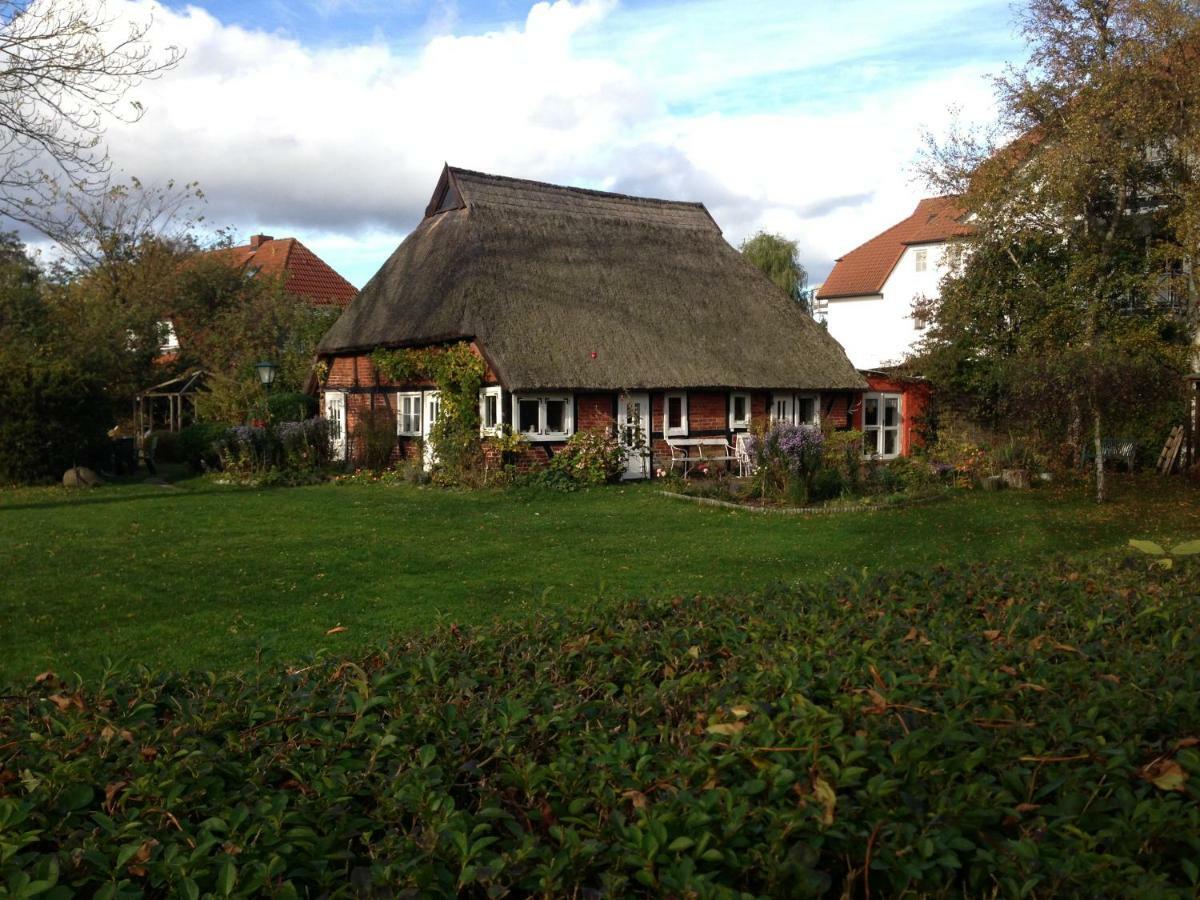 Fewo Am Alten Hafen - Zingst Ostseebad Екстер'єр фото